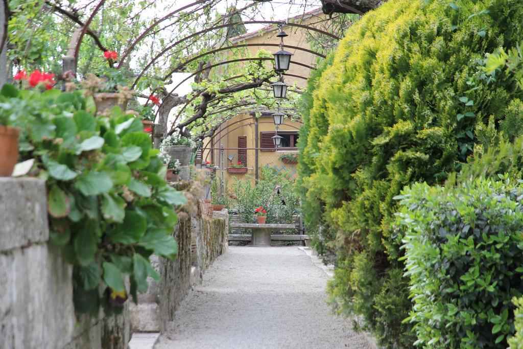 Residenza Dei Ricci Bed & Breakfast คิอูซี ภายนอก รูปภาพ