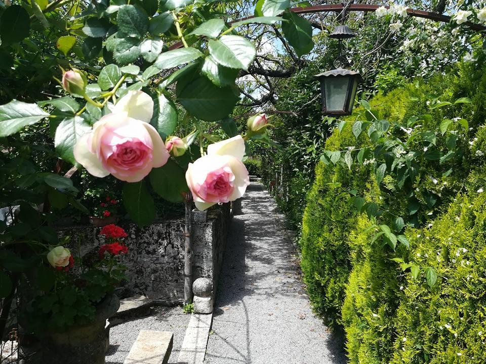 Residenza Dei Ricci Bed & Breakfast คิอูซี ภายนอก รูปภาพ